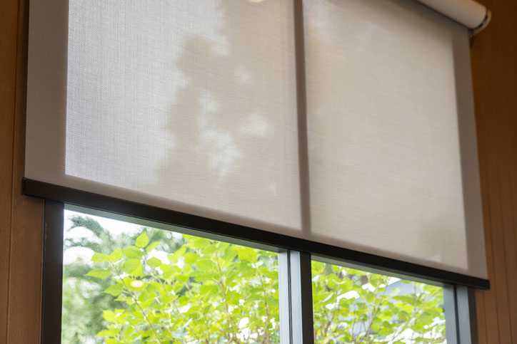 iStock 2168060130 sheer