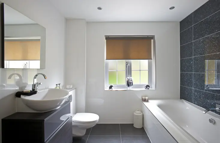 iStock 109727538 bathroom