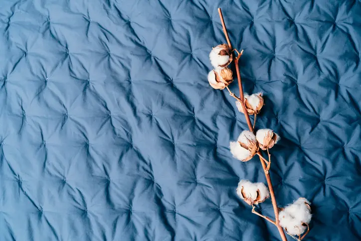 iStock 1769495449 cotton